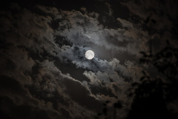 Background with night cloudy sky and full moon. Halloween Spooky night.