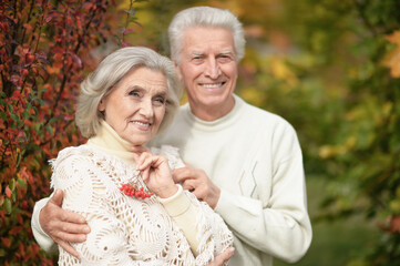 Wall Mural - Beautiful senior couple with rowan in the park