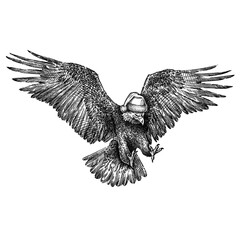 Canvas Print - black and white engrave isolated eagle illustration