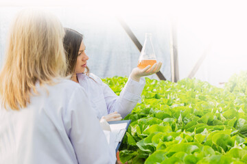 A woman works at the hydroponic nursery.  Hydroponic liquid control.  Concept of work and technology.