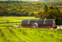 Williamstown, Massachusetts, A Large Red Barn And An Agriculture Field Near Williamstown MA