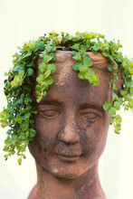 Face Sculpture Planter