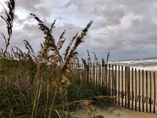 Wooden fence next to sand dunes and the ocean