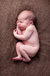 © IdeaBug, Inc. - Newborn Baby Girl Sleeping Peacefully on Brown Blanket, Fetal Position