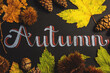 © Sky-Blue Images/Stocksy - Autumn Composition Sign