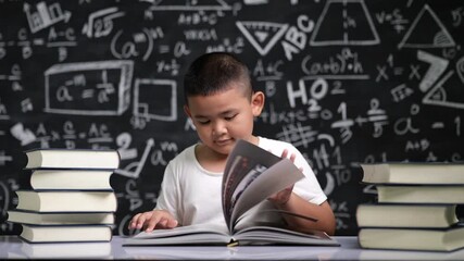 Wall Mural - Asian school boy sitting at desktop and reading book