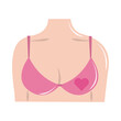© Stockgiu - breast cancer awareness month, female chest pink bra and heart, healthcare concept flat icon style