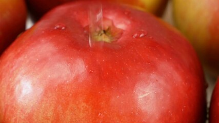 Wall Mural - Many ripe red apples and water drops fall down, slow motion