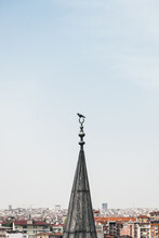 Minaret Bird