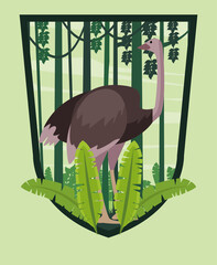 Poster - wild ostrich animal in the jungle shield frame