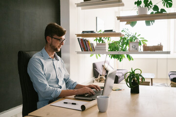 Web Designer
