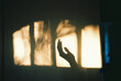 © wendy laurel/Stocksy - shadow of hand in window on wall with golden light