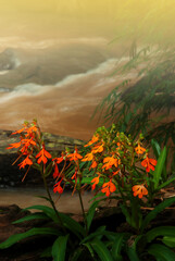 Wall Mural - Blooming orange Habenaria rhodocheila Hance flowers.