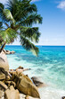 © Michela Ravasio/Stocksy - Tropical seascape with palm tree and rocks