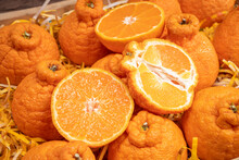 Fresh Orange Fruit In Wooden Box, Top View Dekopon Orange Or Sumo Mandarin Tangerine.