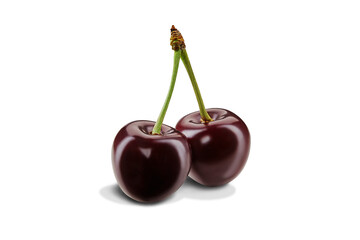 Two dark red sweet cherries with stems isolated over white background. Summer harvest. Close up, copy space