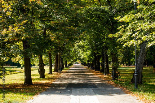 Łódź miasto park aleja ścieżka drzewa jesień