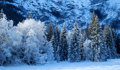 una bellissima giornata sulla montagna innevata