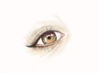 © Alina Nikitaeva - Beautiful women's hand drawn eye with lashes isolated. Make up girlish style for decoration blogs, profiles. Beauty industry