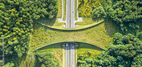 Cuadros en Lienzo Aerial top down view of ecoduct or wildlife crossing - vegetation covered bridge