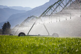 Fototapeta Sawanna - Close up image of a center pivot on a green field of wheat, providing irrigation to the crops