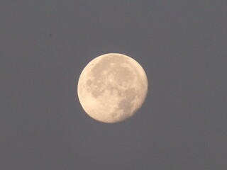 moon in the sky