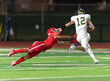 © Joe - Football players making exciting plays during a game