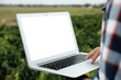 © New Africa - Man using laptop with blank screen in field, closeup. Agriculture technology