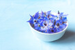 A bowl of blue borage flowers on the table. Farming season, alternative medicine