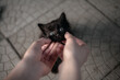 © Demetr White/Stocksy - girl stroking the chin of a black kitten