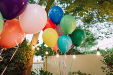 Birthday Balloons In The Garden