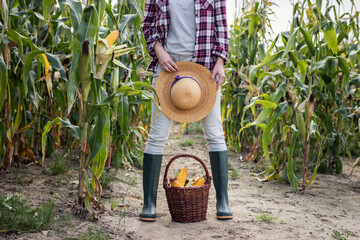 Wall Mural - Farmer in corn field 