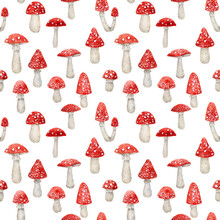 Seamless Pattern With Toad Shrooms On White