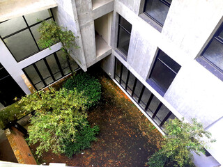 interior on green architecture building