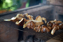 Fresh Wild Mushrooms, Grilled On Charcoal Fire. On An Outdoor Picnic Party