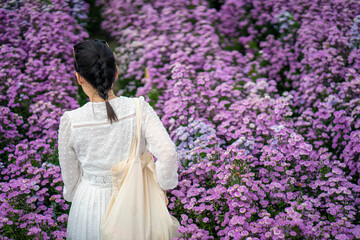 Wall Mural - Young woman walking at blossom Margaret flowers garden.