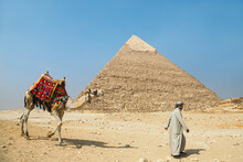 Camel Driver With Camel In Front Of The Pyramids At Giza, Egypt