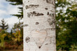 © Goodness Grace Photography/Stocksy - A heart carved into a white birch tree with early fall foliage in the background