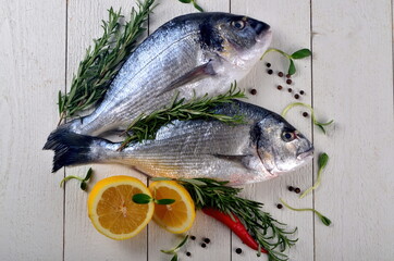 Two Fresh Dorado fish with lemon, onion and rosemary on white wooden board background, top view