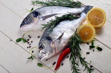 Two Fresh Dorado fish with lemon, onion and rosemary on white wooden board background, top view