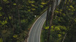 © Akela - from alp to alp/Stocksy - road in rainforest