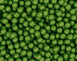 © Giada Canu/Stocksy - Watermelons pattern
