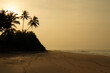 Sunrise on the palm beach, Sri Lanka