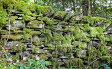 Close Up Of Old Dry Stone Wall In The Lake District Covered In Green Moss