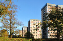View Of Modern High Rise Apartment Buildings From Wooded Public Park On Sunny Day 