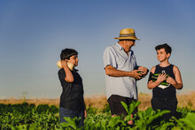Unrecognizable Male Farmer In Hat Working In Field With Kids And Together Picking Ripe Zucchini In Summer Day In Countryside
