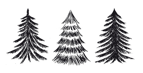 Wall Mural - christmas tree design, vector set.