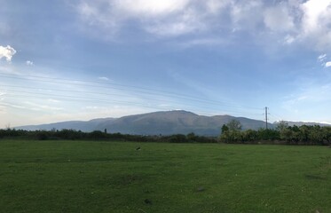 grass and sky