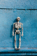 Skeleton On Blue Grunge Background