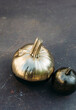 © Beatrix Boros/Stocksy - Two ornamental painted squashes on a grungy background